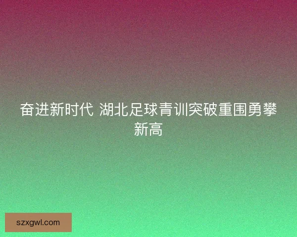 奋进新时代 湖北足球青训突破重围勇攀新高