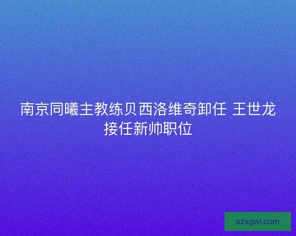 南京同曦主教练贝西洛维奇卸任 王世龙接任新帅职位