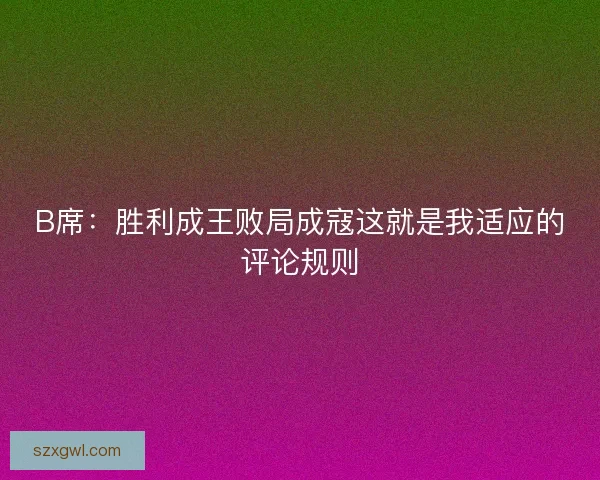 B席：胜利成王败局成寇这就是我适应的评论规则